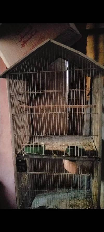 3 poshion cage