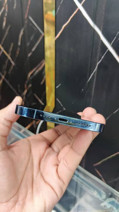 iPhone 13 Pro Max FU