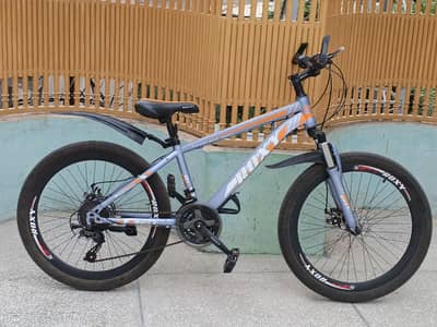 Roxy Imported Bicycle 24 inch size condition like new