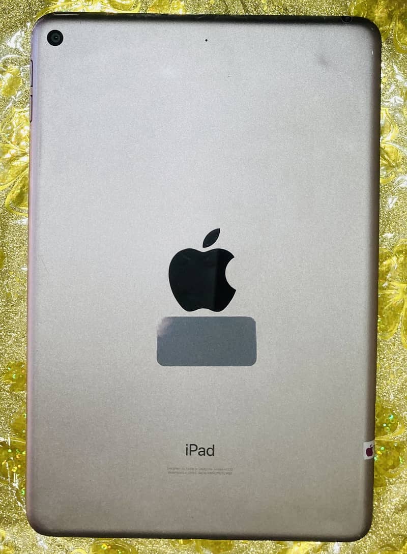 ipad mini 5 1