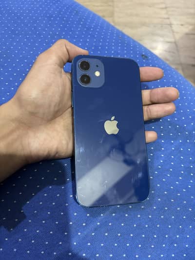 iPhone 12