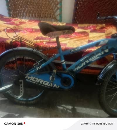 10/80 condition 10 years sy 15 ky bachon ky