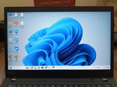 Lenovo T495
