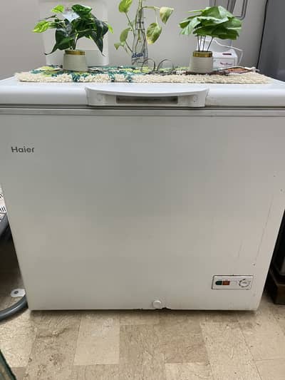 Haeir freezer single door