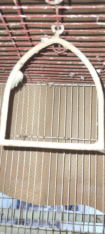 Iron Cage gir birds Parindo ka pinjra pingra