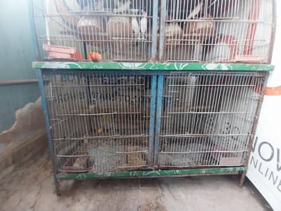 setup sale cage and birds also