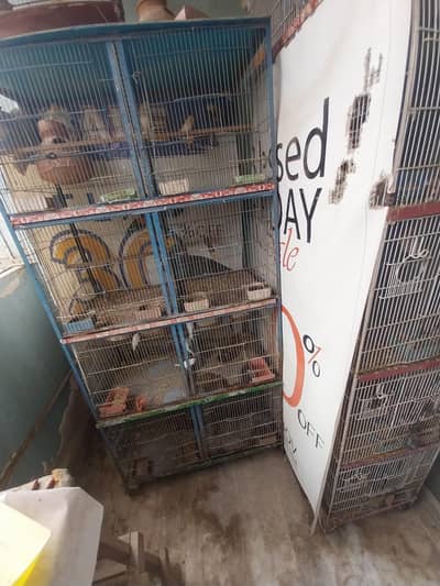cage for sale