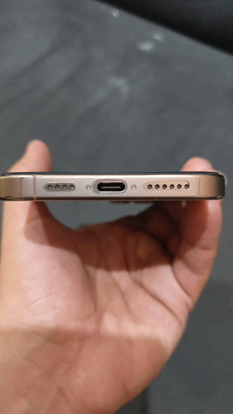 Apple iPhone 16 Pro Max 1
