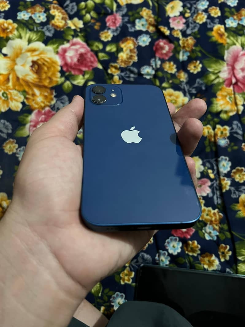 Apple iPhone 12 0