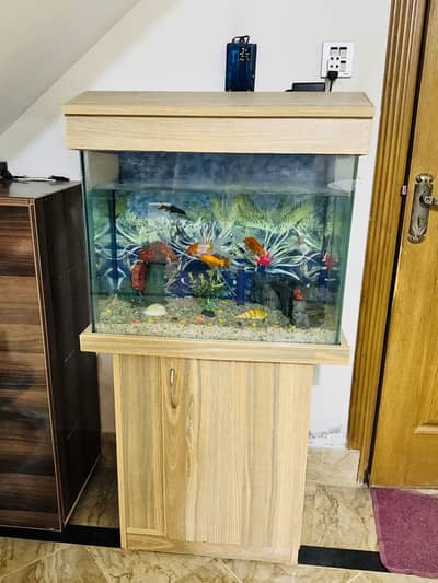 Fish Aquarium