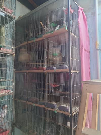 used cages or birds dono hn sale krne hn. .