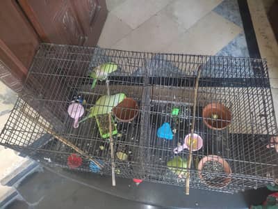 cage. . portable cage. .