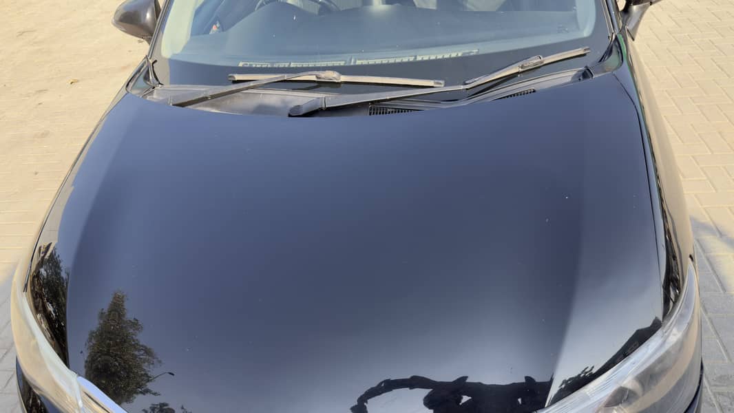 Hybrid axio feilder 6