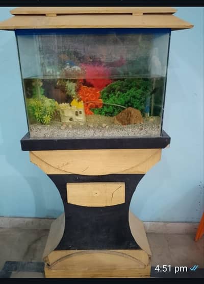 Fish Aquarium premium condition