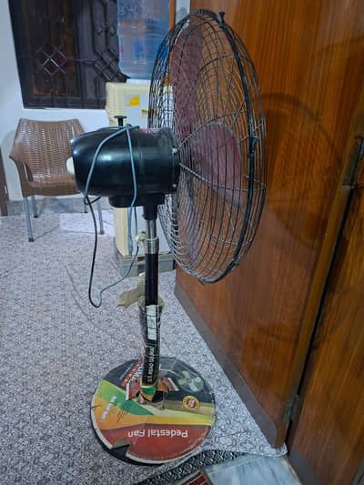 pedestal Fans