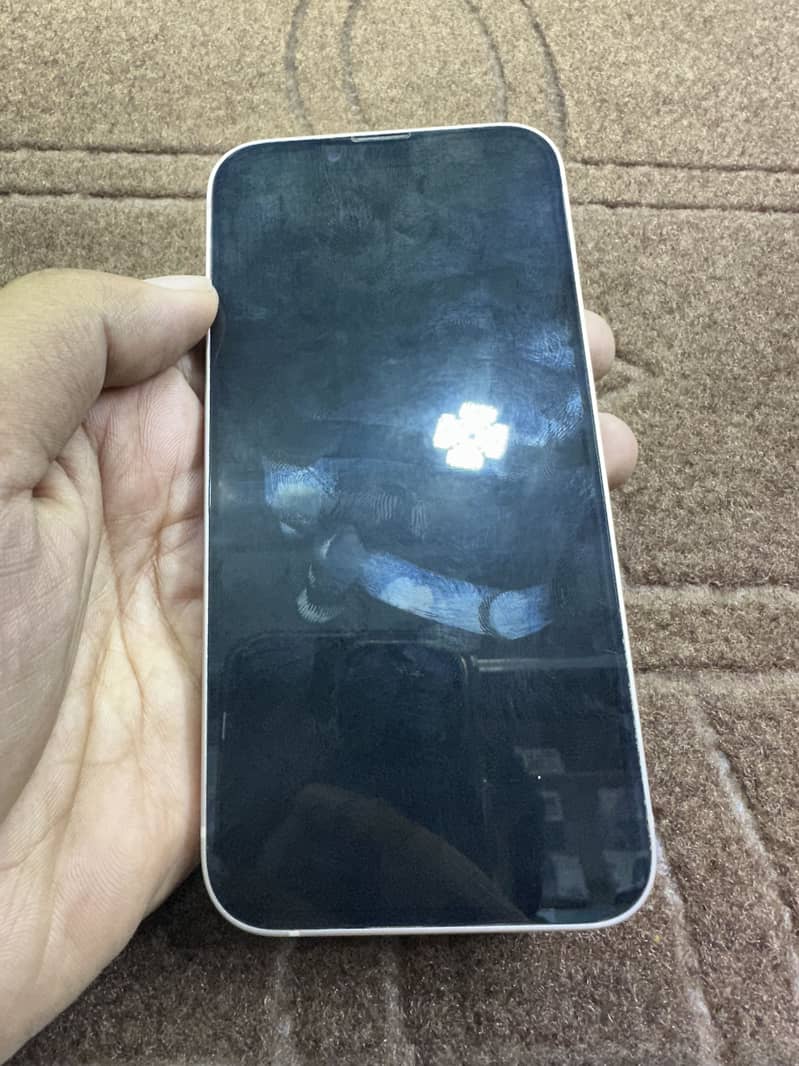 Apple iPhone 13 0