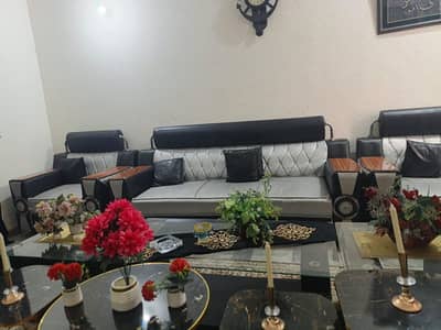 sofa set plus daining tabel set  plus tree traly