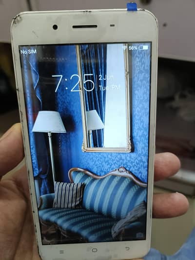 Vivo Y66 4G Only phone