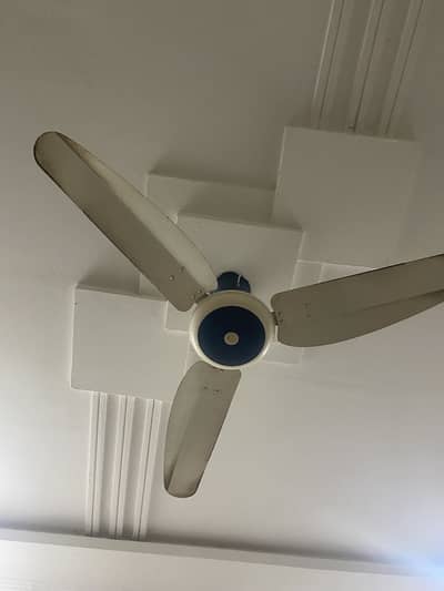 Pervazz fans 56 inch Orginal copper