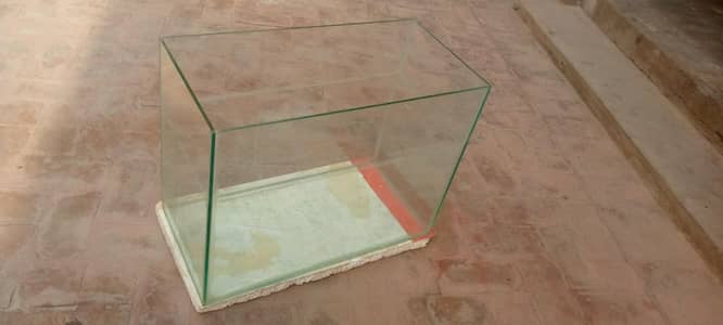 Fish Aquarium