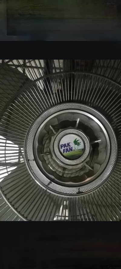 pak fan 02 pedestal fan