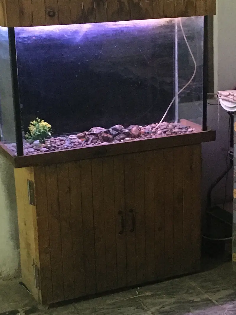 Luxury style Pure Wooden 3 foot 6mm Aquarium — photo 3