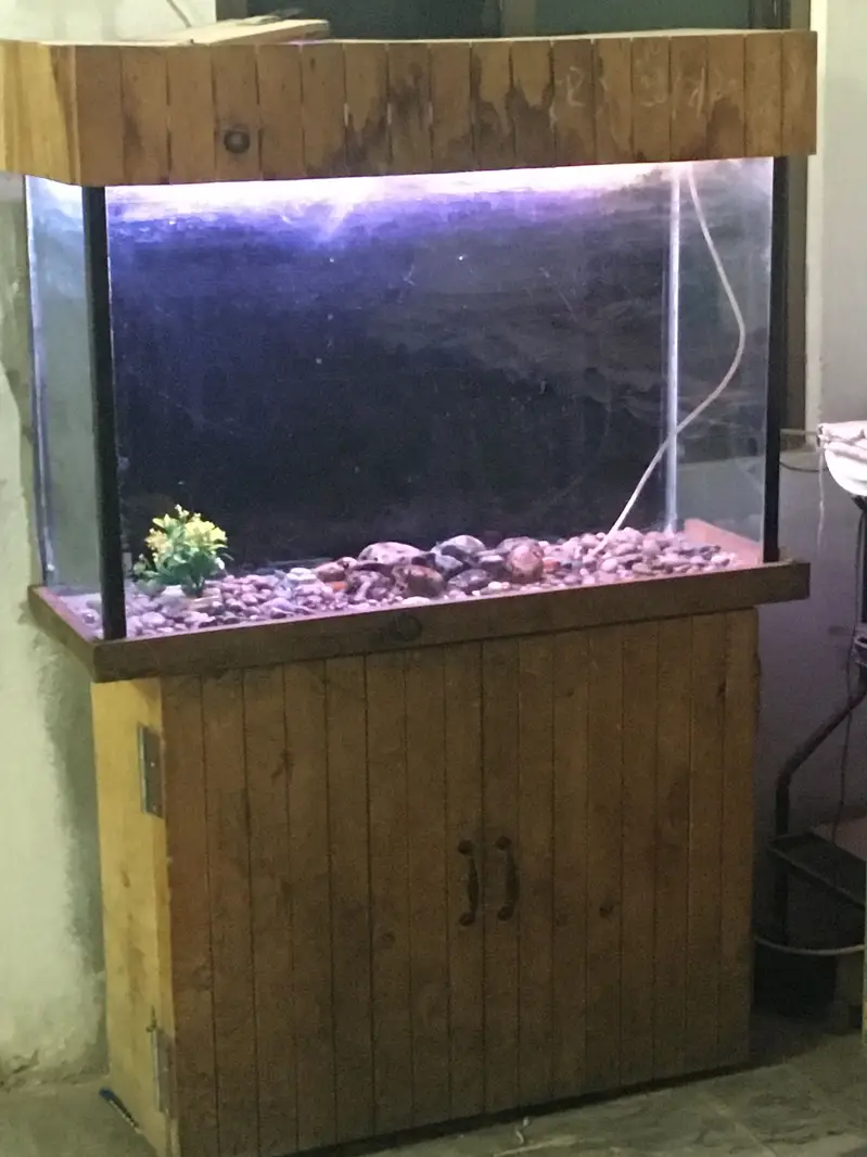 Luxury style Pure Wooden 3 foot 6mm Aquarium — photo 5