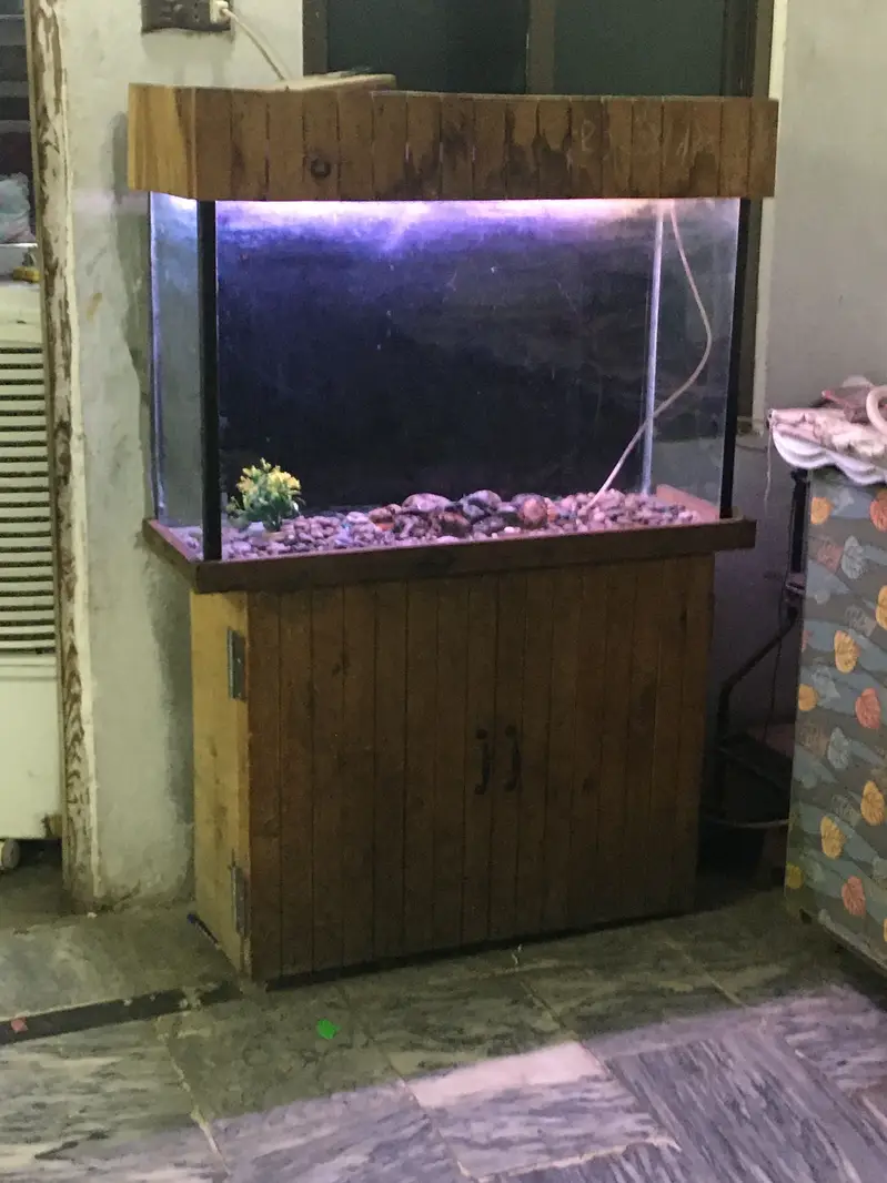 Luxury style Pure Wooden 3 foot 6mm Aquarium — photo 6