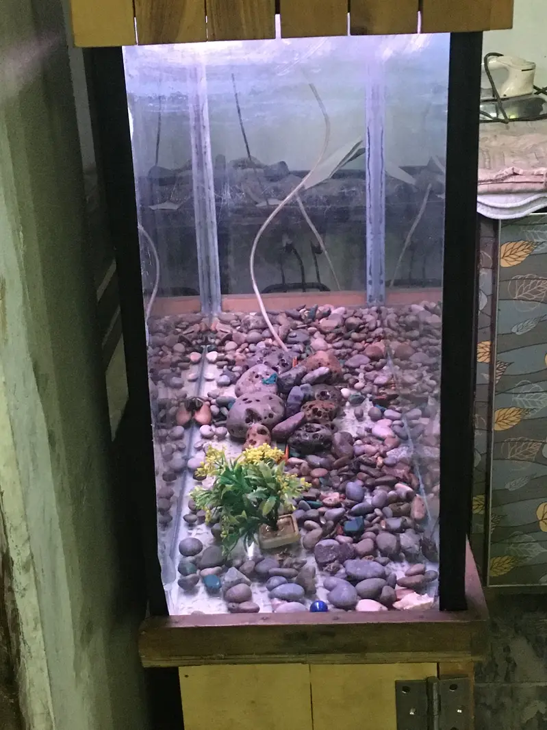 Luxury style Pure Wooden 3 foot 6mm Aquarium — photo 10