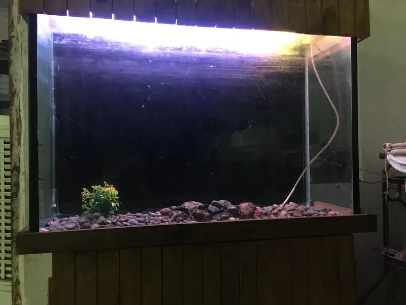 Luxury style Pure Wooden 3 foot 6mm Aquarium — photo 12