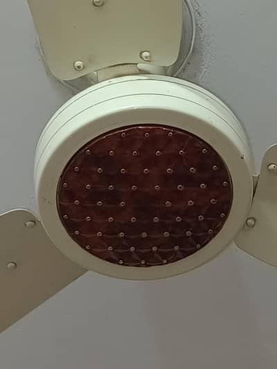 Fan for sale