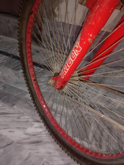 Boys cycle