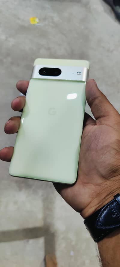 google pixel 7