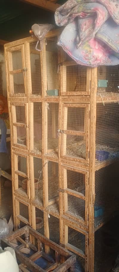Wooden cage 8 khano wala 03085533672
