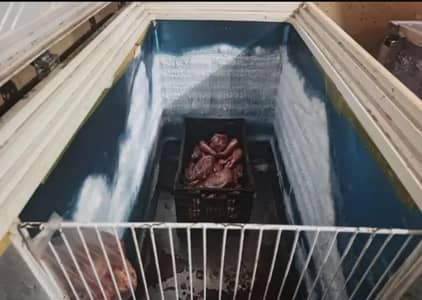 own pepsi freezer for sale best condition
