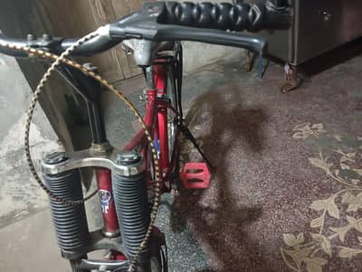 sumac bicycle