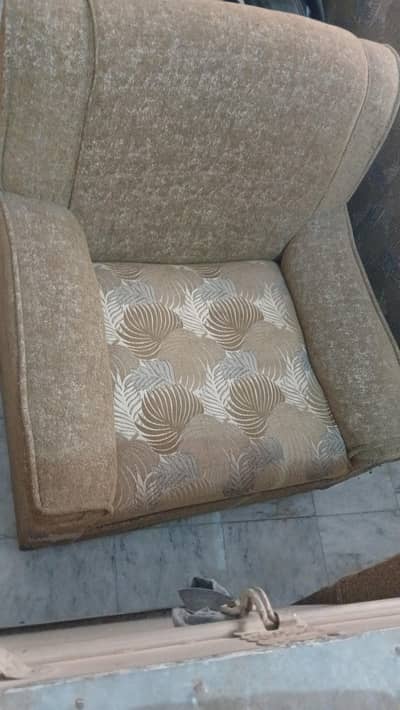 11 seater