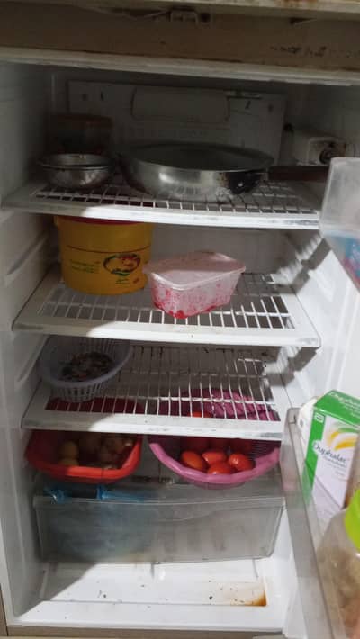 pel chilled refrigerator