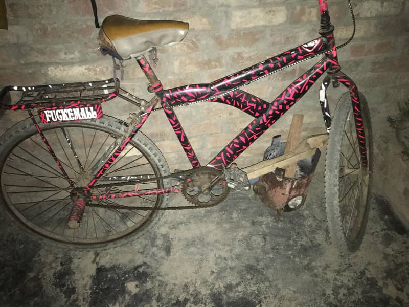 bicycle 2