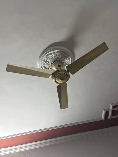Used fans for sale