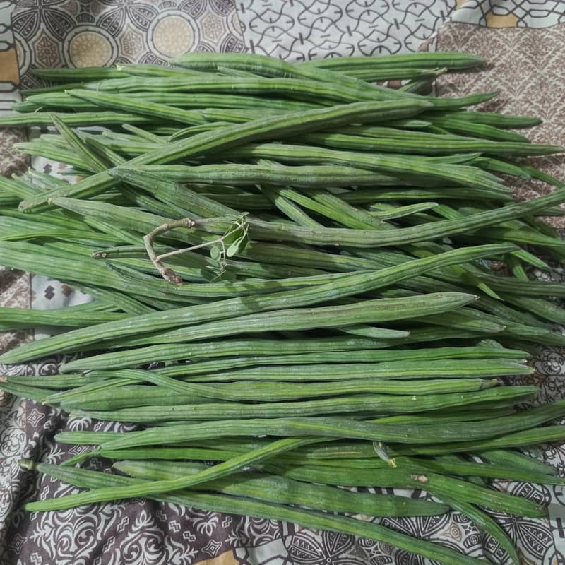 Moringa Beens 0