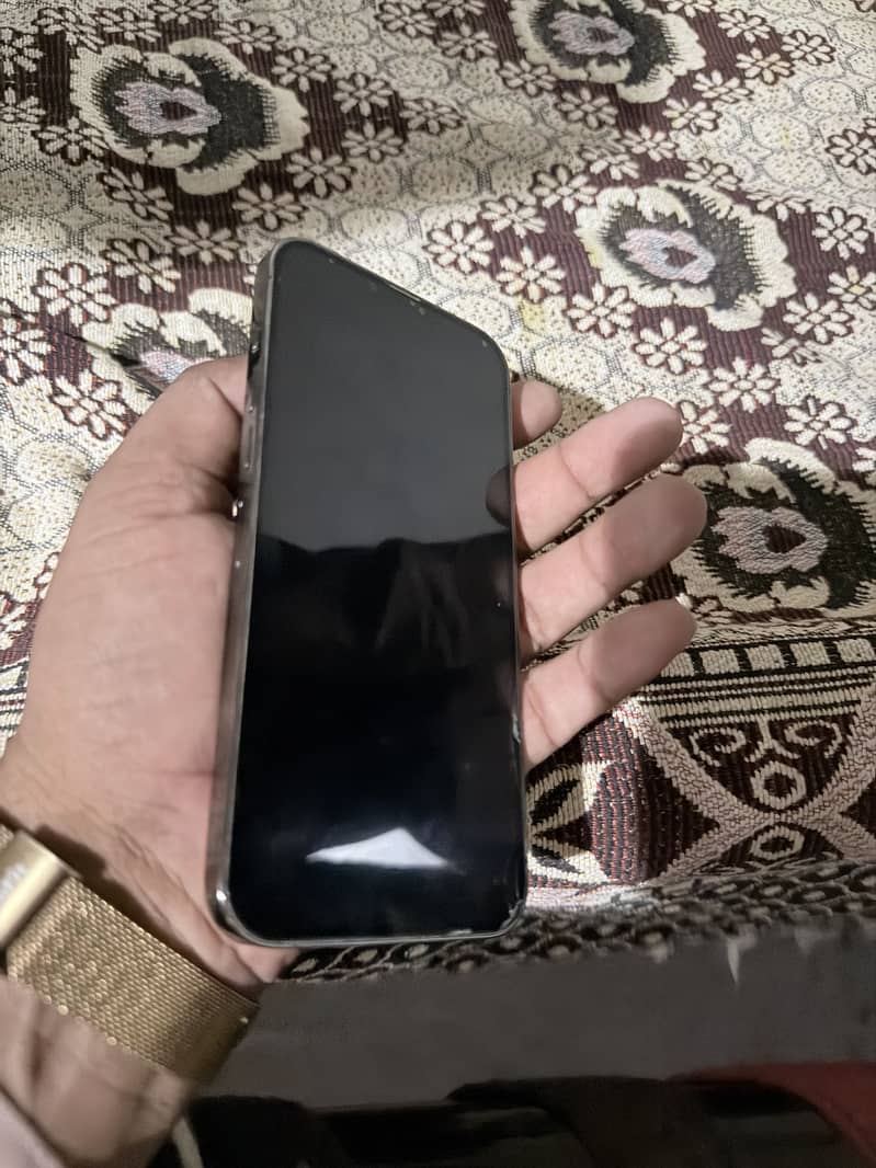 Apple iPhone 13 Pro Max 1