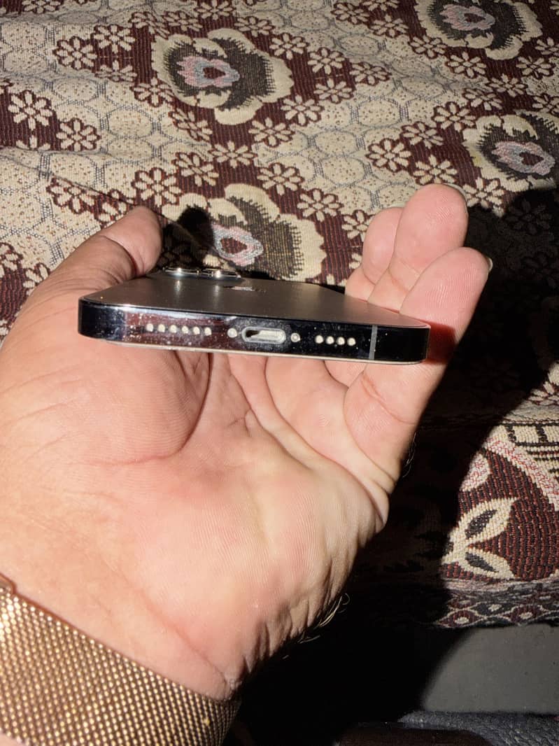 Apple iPhone 13 Pro Max 4