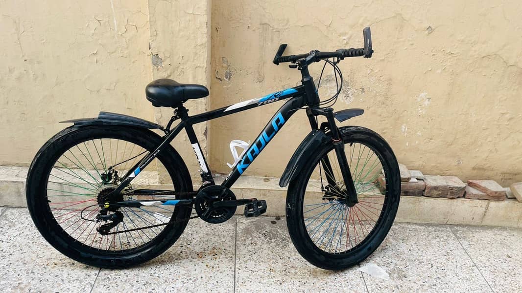 Imported Bicycle 1