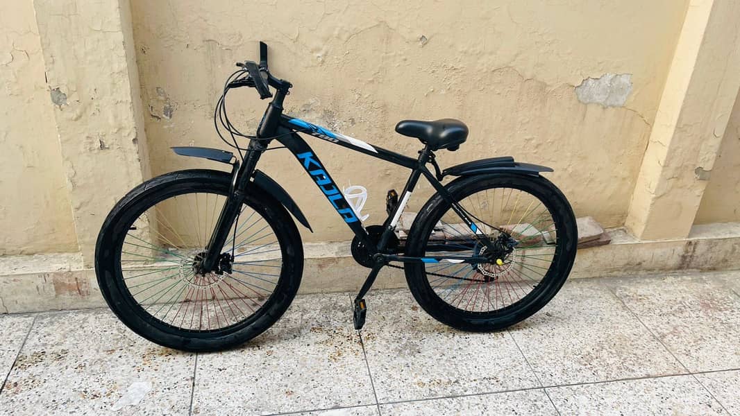 Imported Bicycle 2