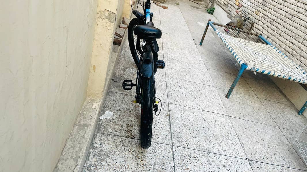 Imported Bicycle 3