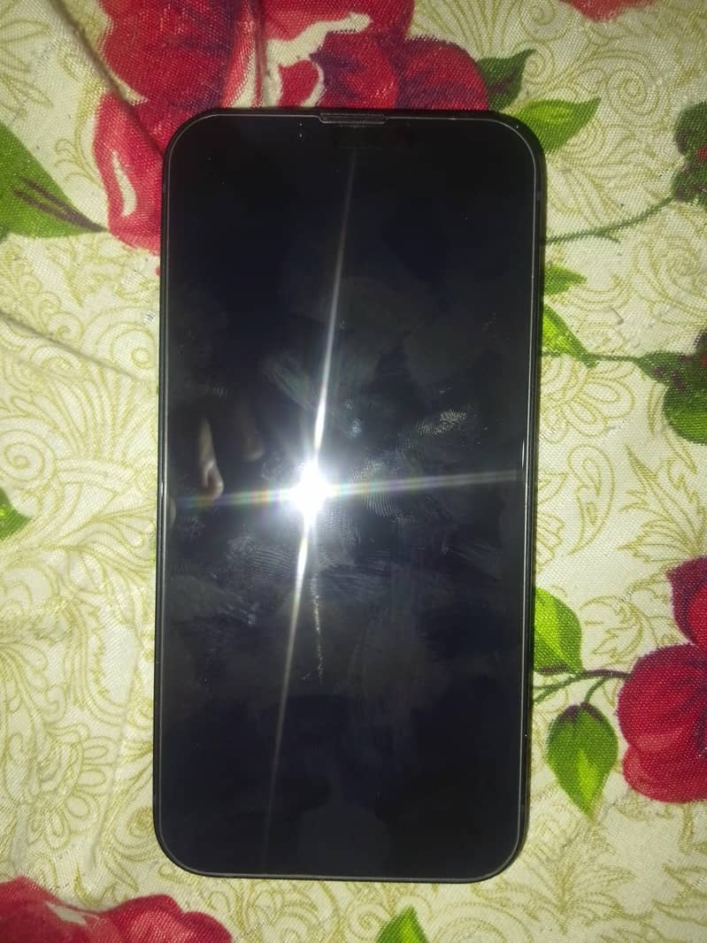 Apple iPhone 13 1
