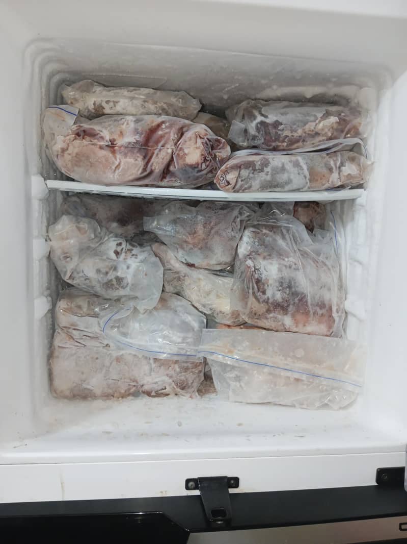 refrigerator 1