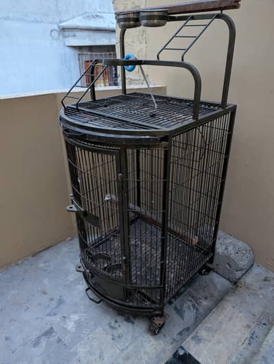 gray parrot cage