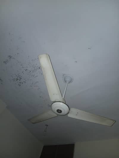 2 fan for sale